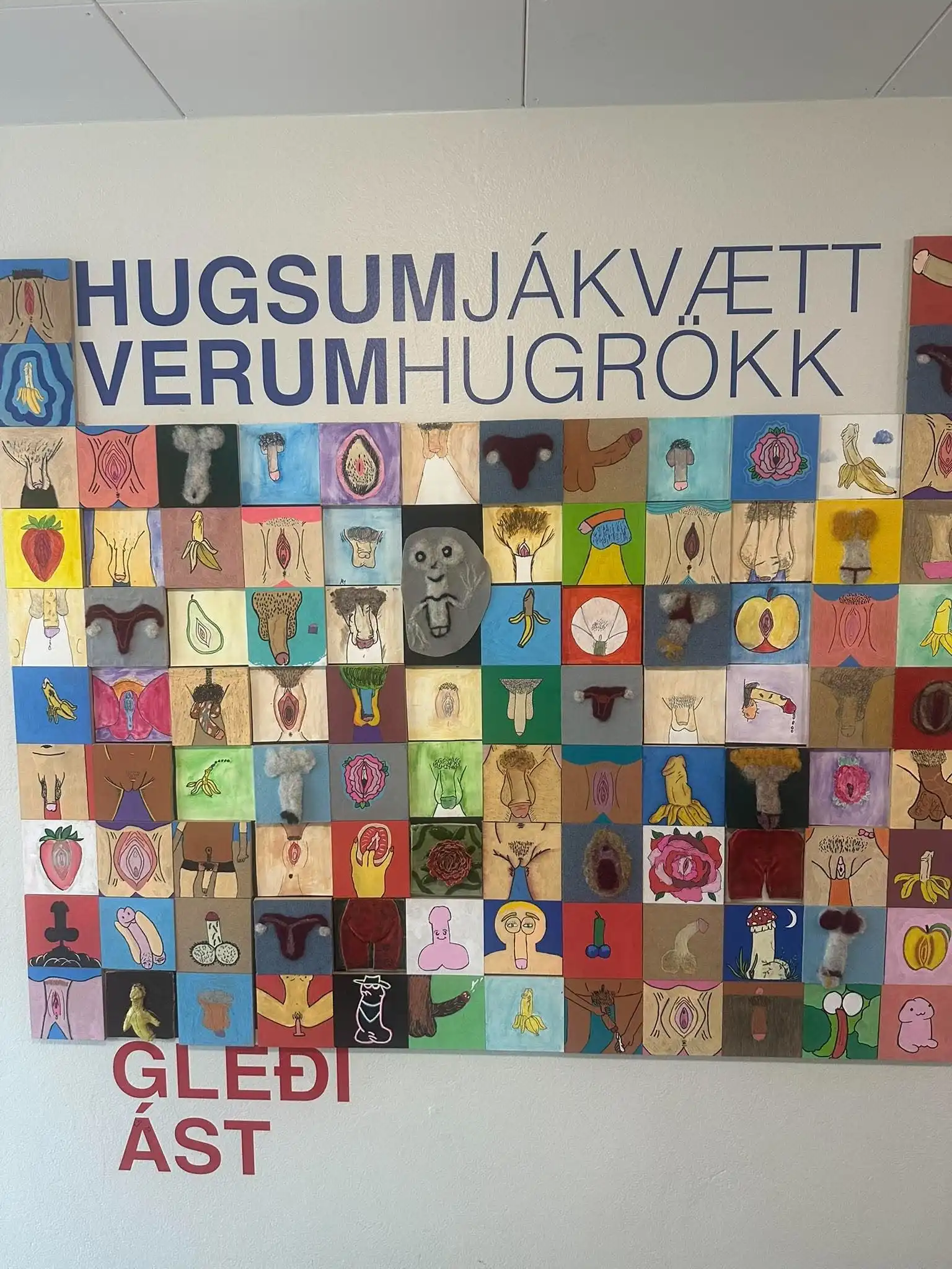 Kynfæramyndir í Álftamýrarskóla – Skólastjóri segir að listaverk eigi að ögra og það hafi greinilega tekist
