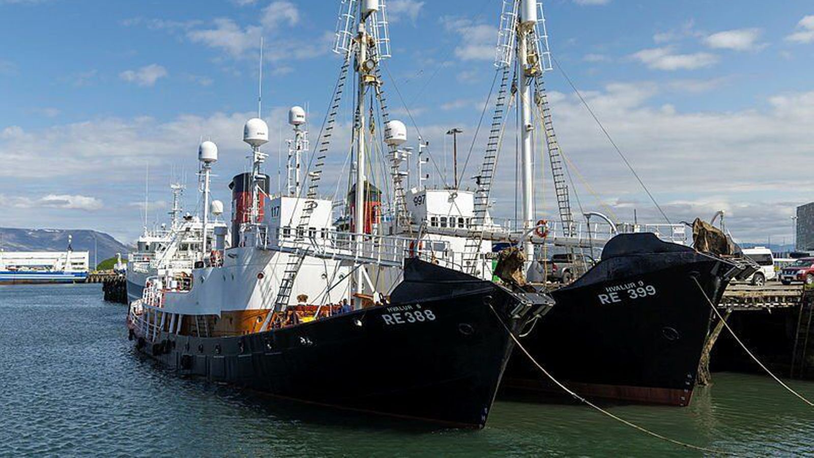 Lækka veiðiráðgjöf á hval veru­lega - Vísir