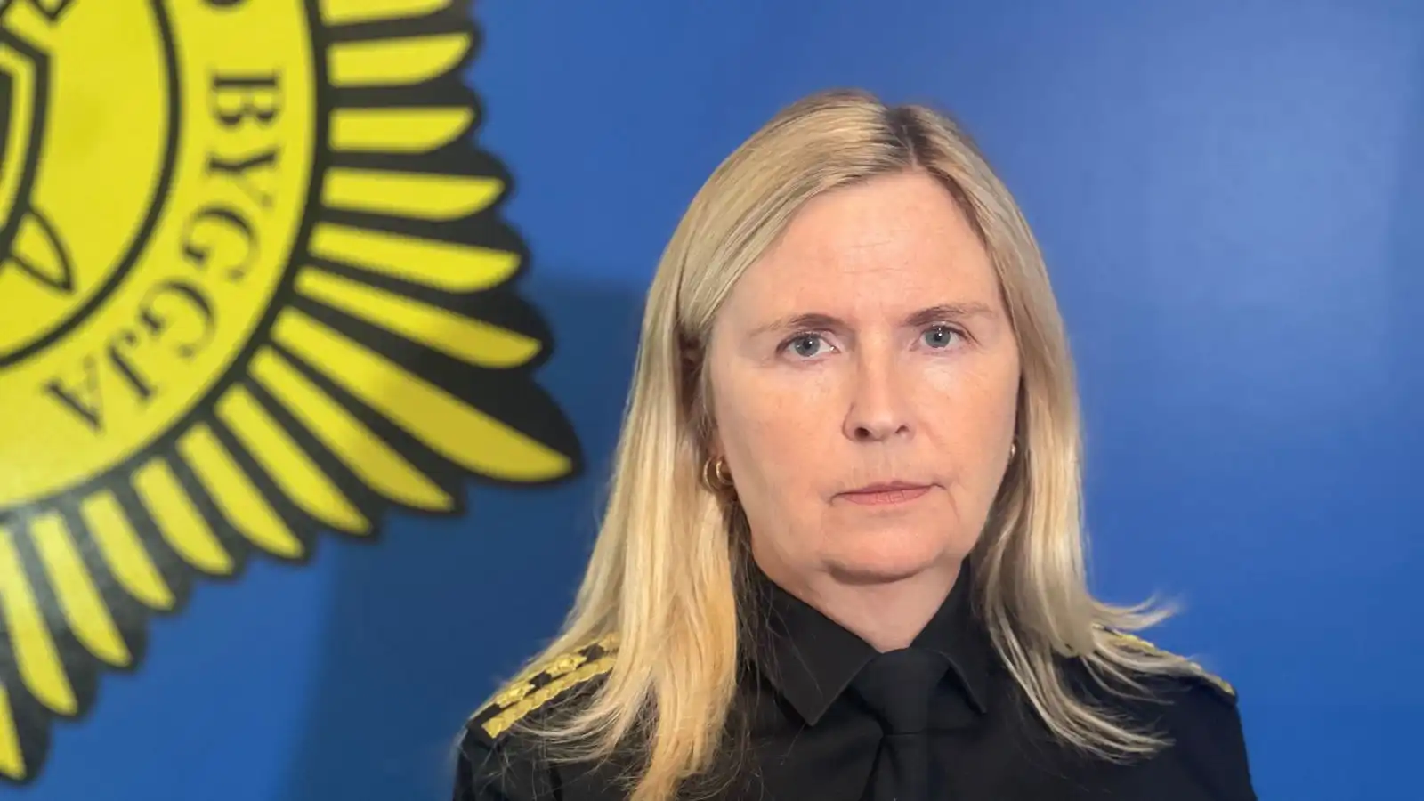 Leit að eftir­manni Höllu Berg­þóru hafin - Vísir