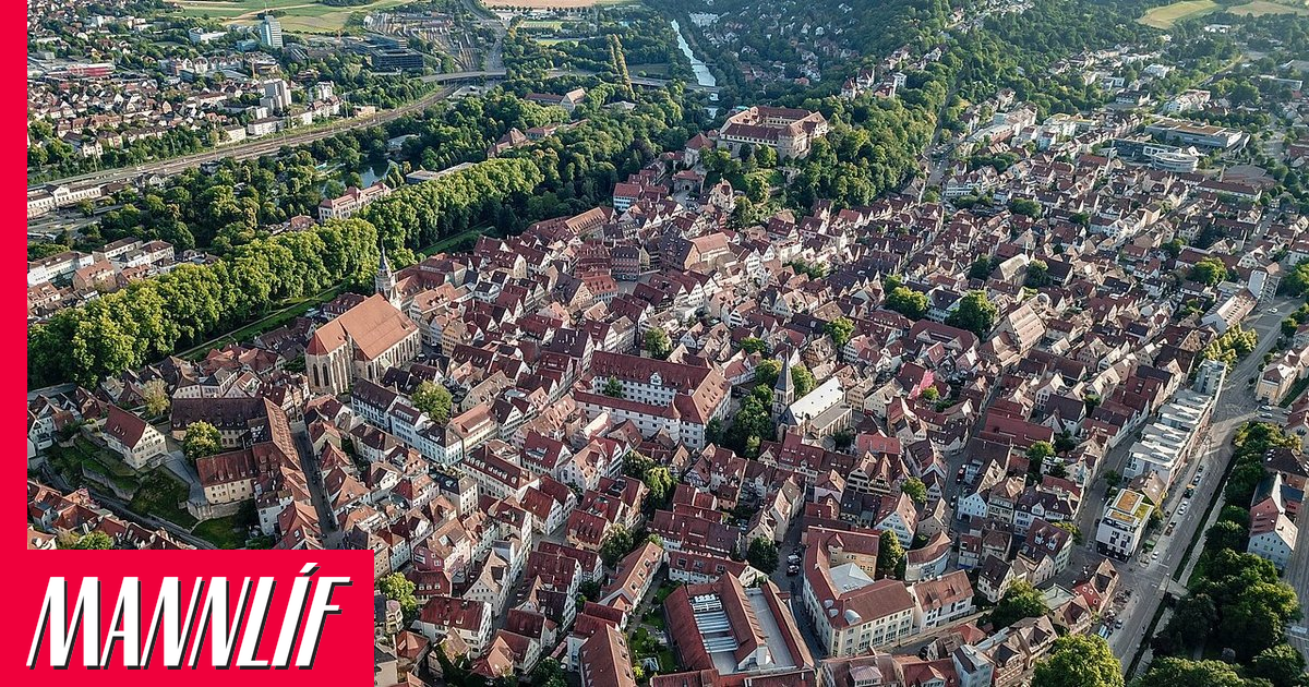 Lestarstjóri fann óvænta gesti um borð