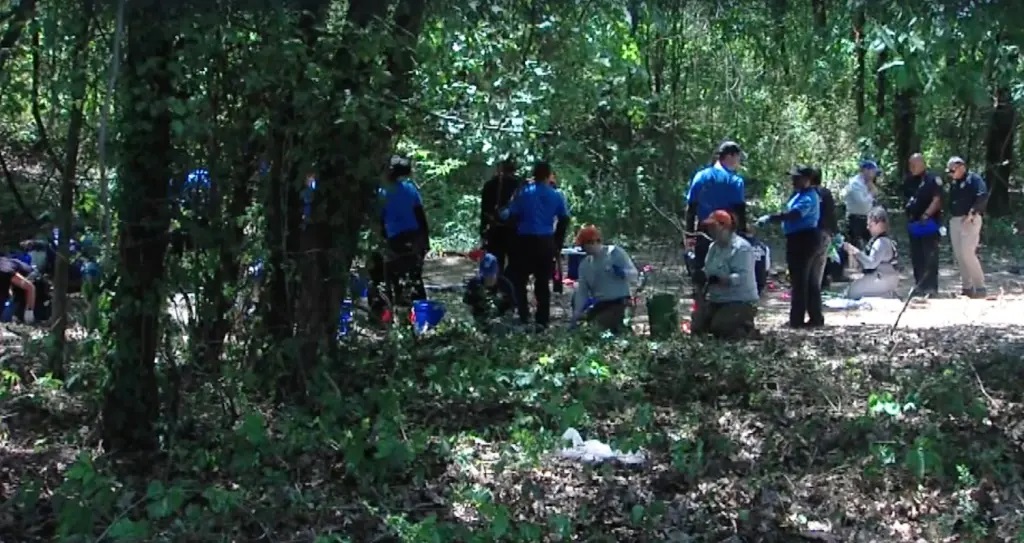 Líkamsleifar nokkurra barna á aldrinum 3 til 7 ára fundust í skógi í Memphis - DV