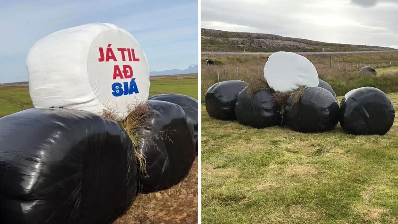 Límmiðar lifðu ekki af nóttina - Vísir