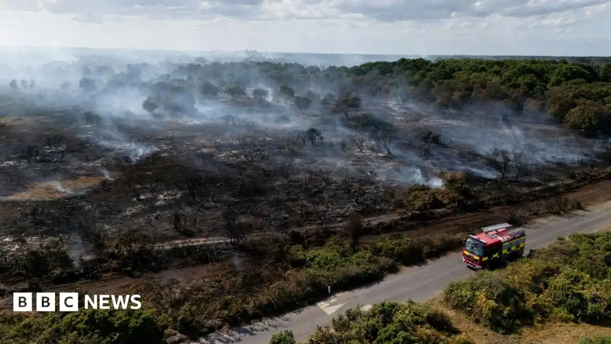 Lives will be lost unless UK does more to combat wildfires, committee chairwoman says