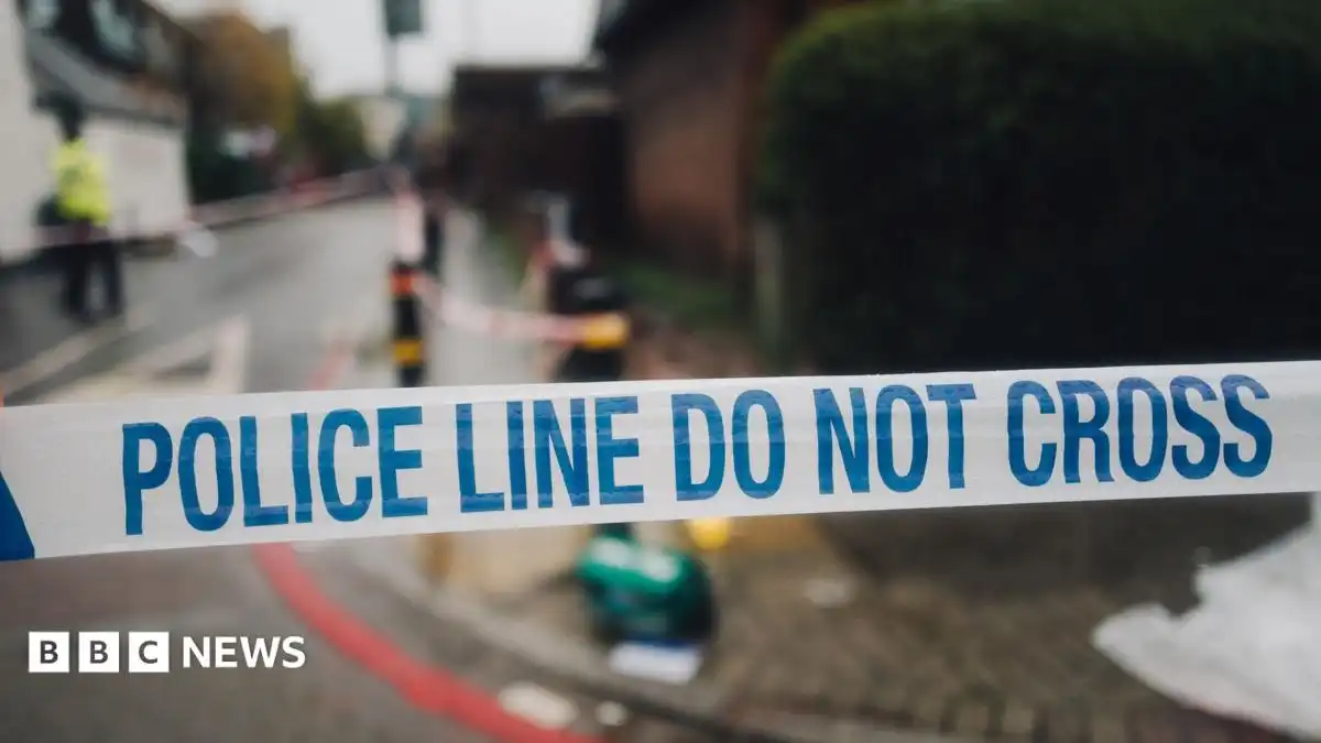 Luton stabbing: Police launch murder investigation after teenager dies