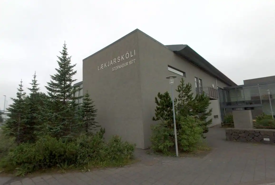 Maður sagður hafa elt nemendur í Lækjarskóla og ógnað þeim með hnífi - DV