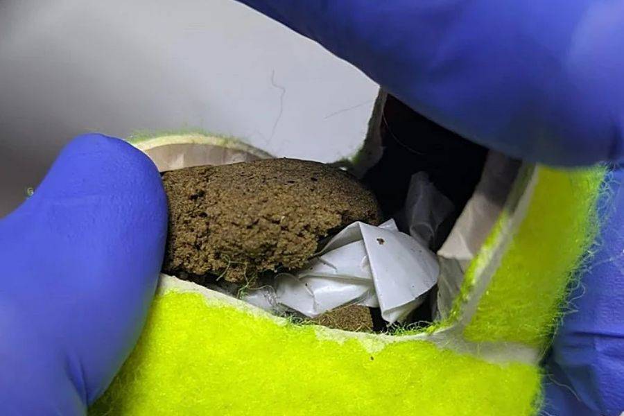 Man arrested for throwing drug-filled tennis balls into Tenerife prison