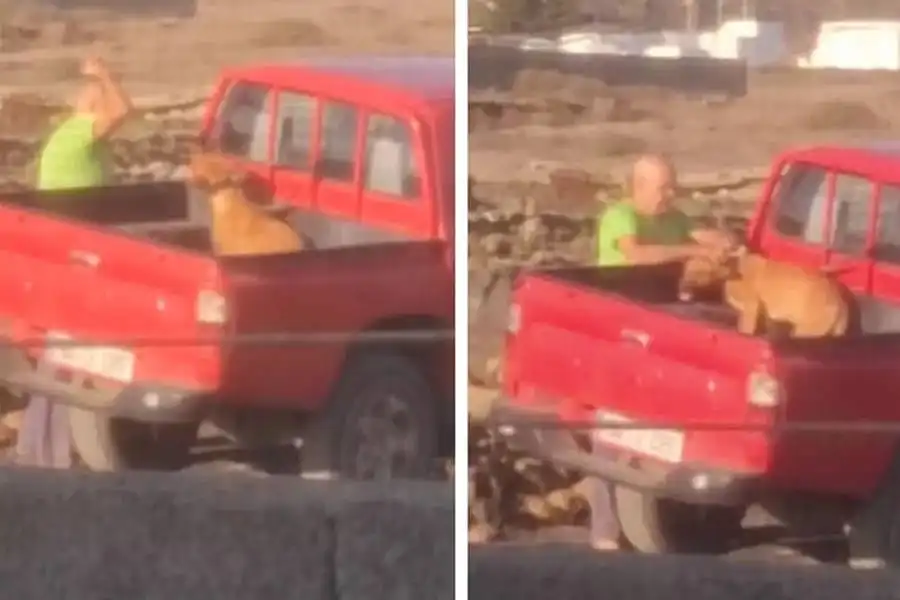 Man arrested in Lanzarote after video shows him repeatedly hitting dog