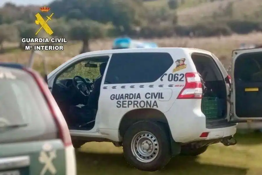 Man investigated for beating four dogs to death in Gran Canaria