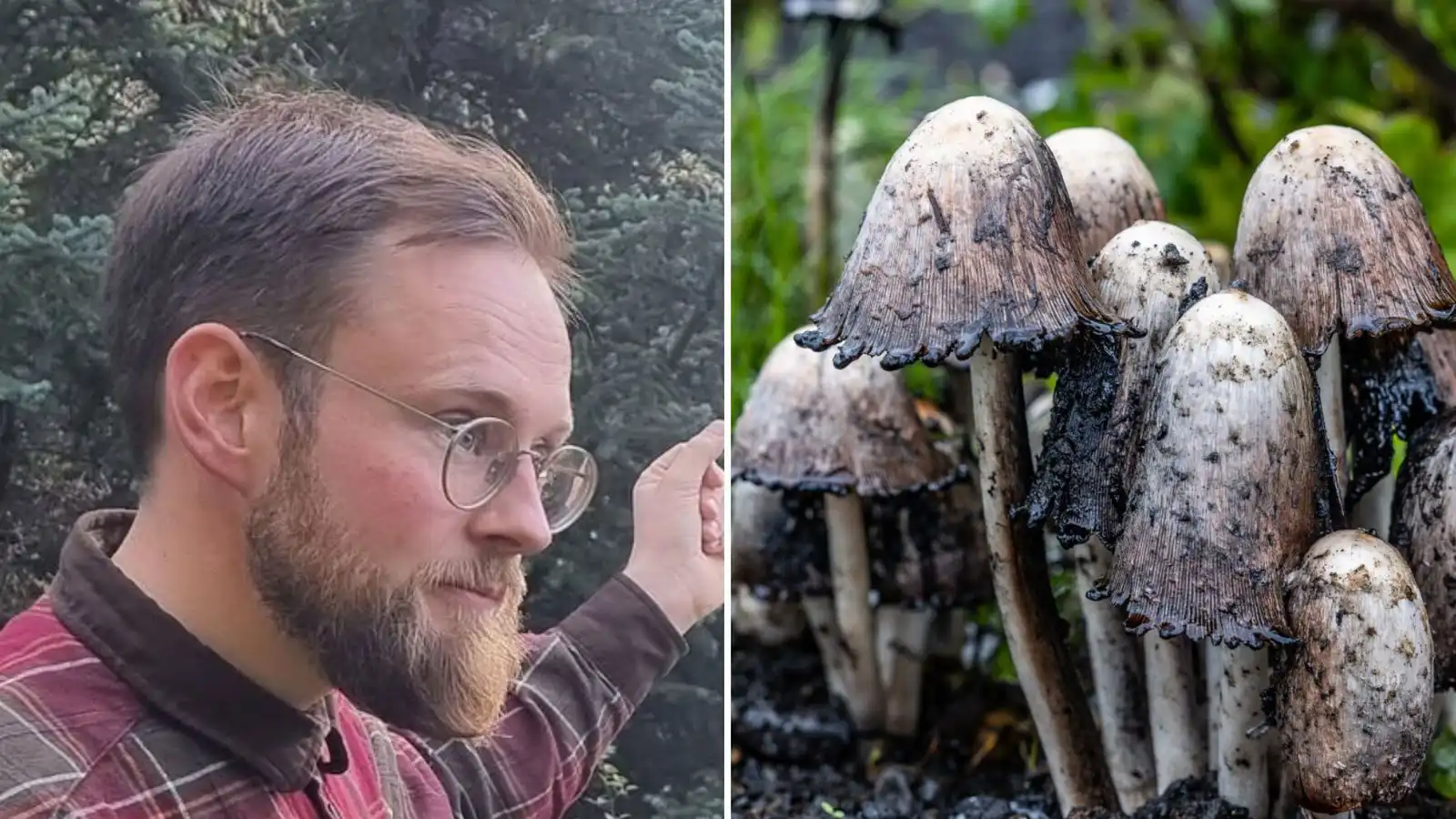 Mannasaur og hanskar um allar koppagrundir - Vísir
