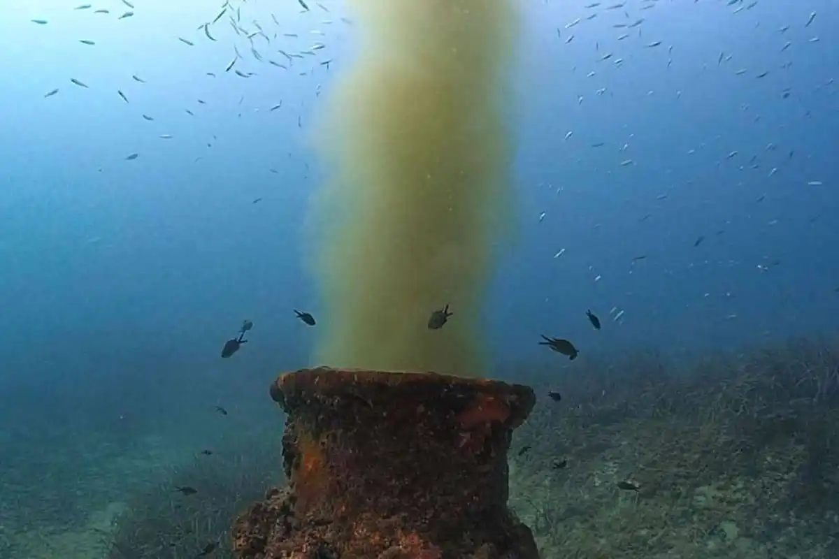 Marine expert warns coastal water quality is becoming a health risk in the Canary Islands