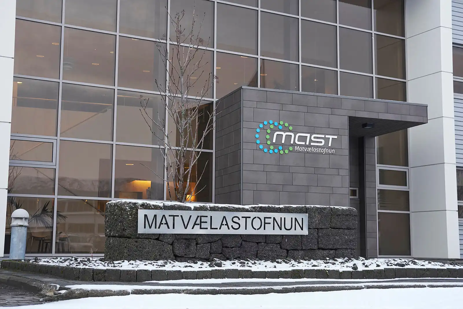 MAST kærir hótanir og ærumeiðingar gegn starfsmönnum til lögreglu - DV