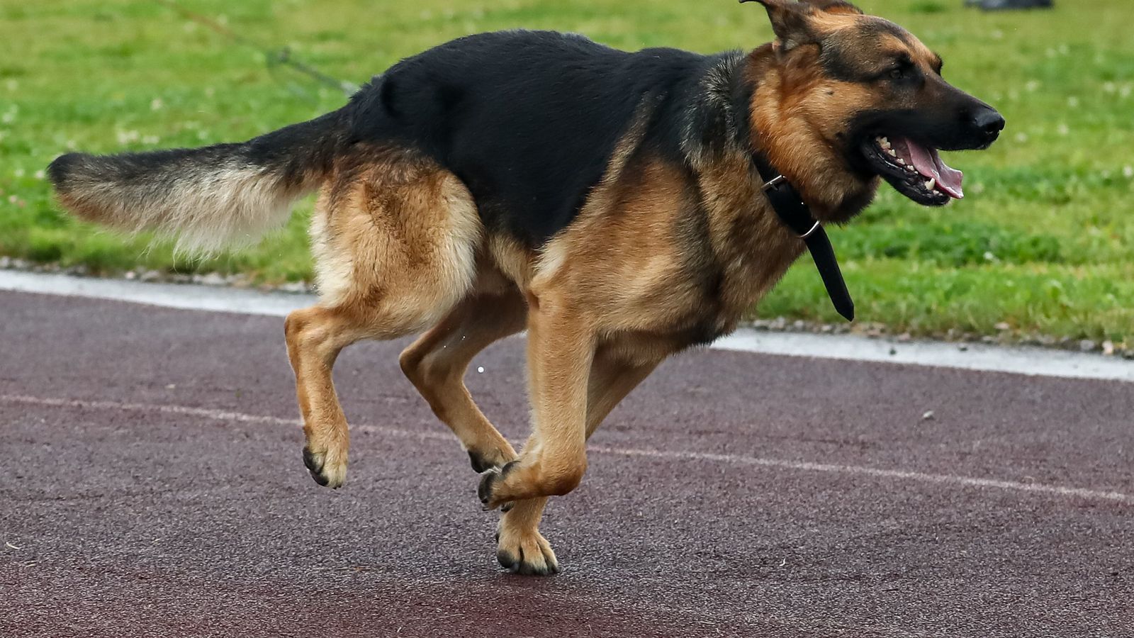 Máttu vísa mæðgunum úr fé­laginu eftir allt saman - Vísir