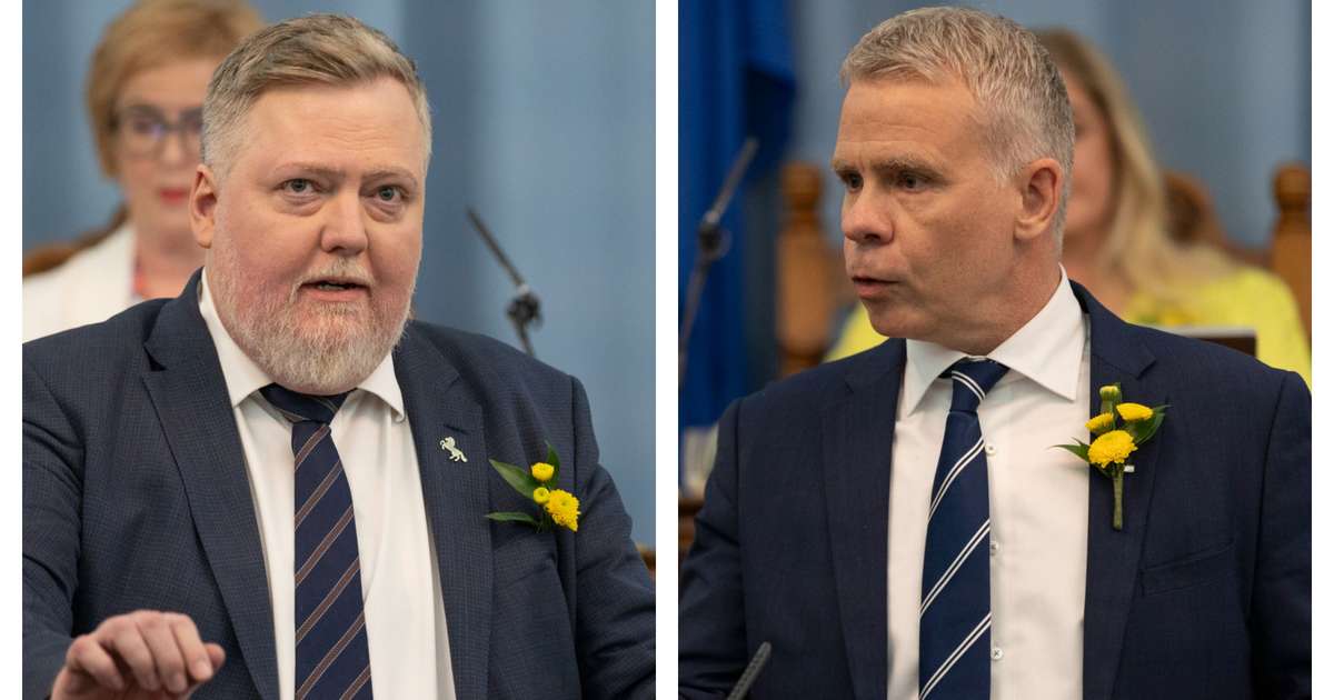 Miðflokksmenn saka ríkisstjórnina um blekkingar um ESB