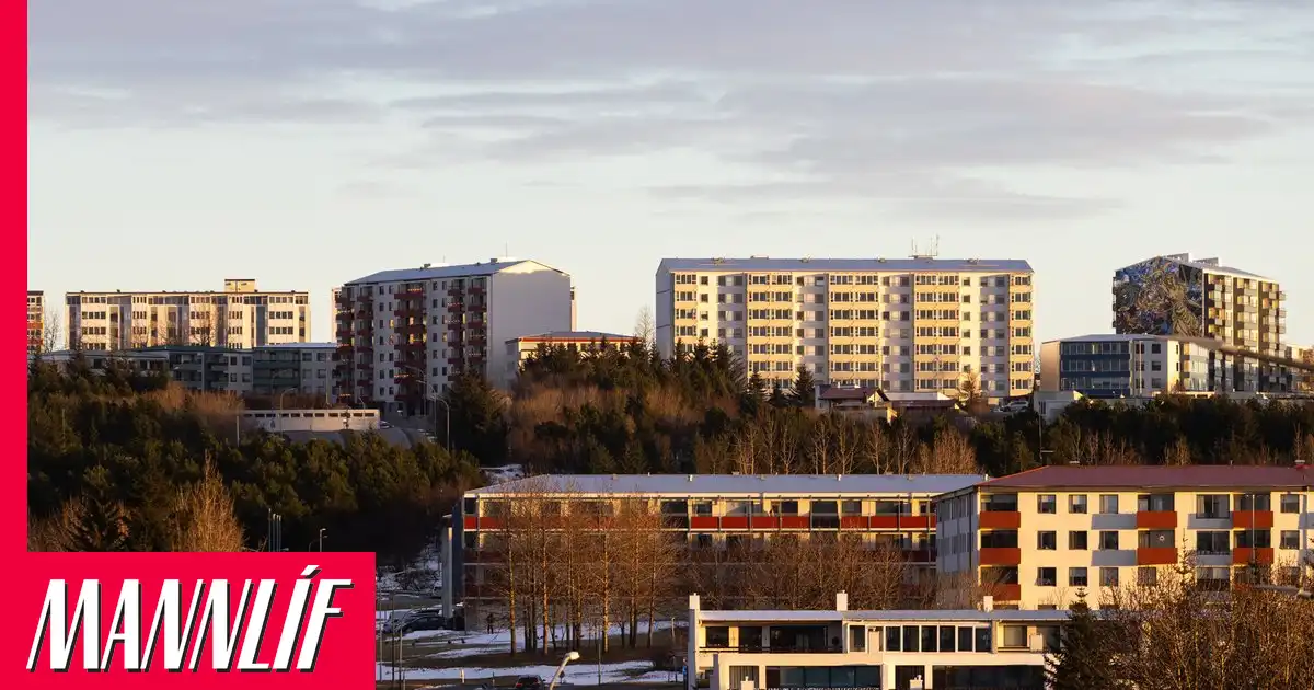 Misþyrmdi gæludýri í Breiðholti