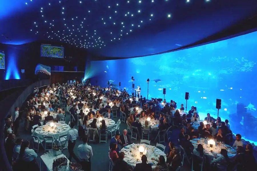 More than 400 guests attend Ocean Conservation Gala at Poema del Mar