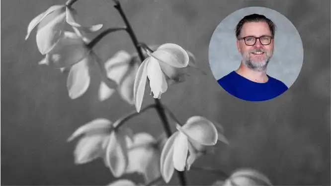 Mörg ár liðu áður en Hrannar opnaði sig um missi á meðgöngu: „Þessi tvö líf sem kviknuðu en fengu aldrei að draga andann“