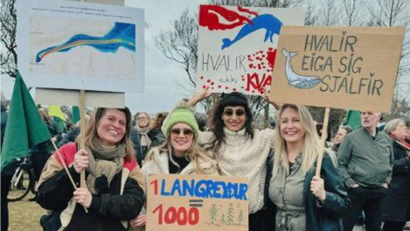 Mót­mæla hval­veiðum - Vísir
