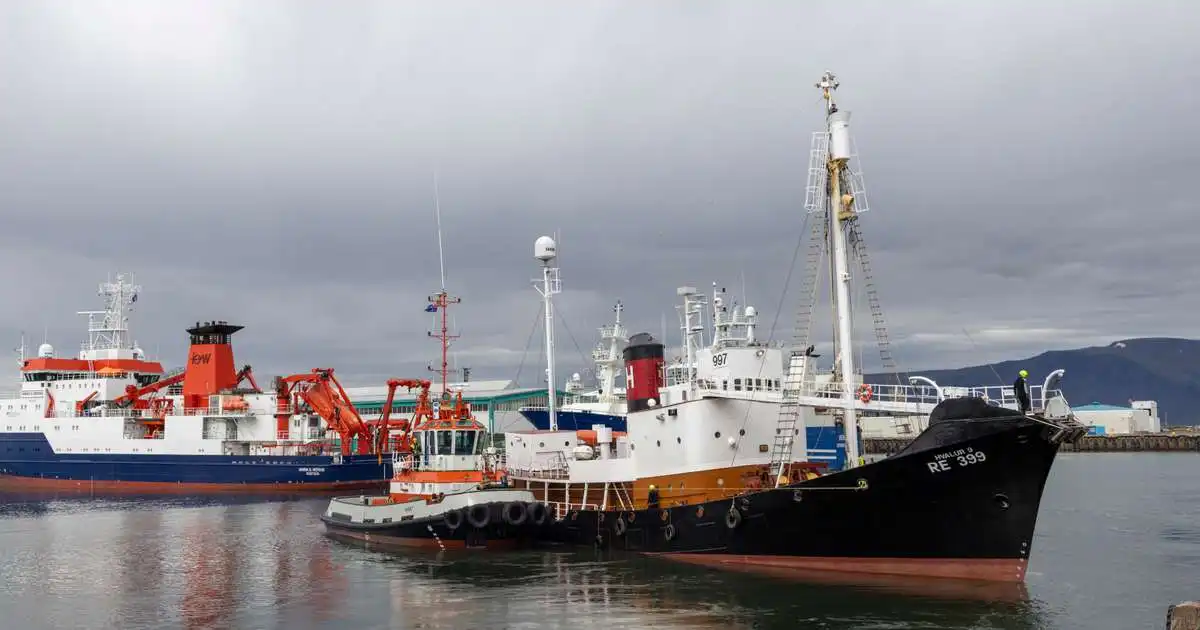 Mótmælandi ætlar að biðja skipverja Hvals 9 afsökunar