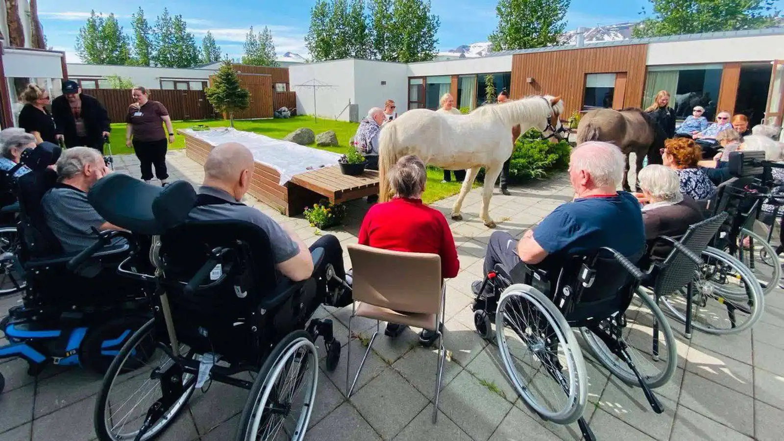 Myndaveisla: Aldrei of gamall til að skella sér á bak - Vísir