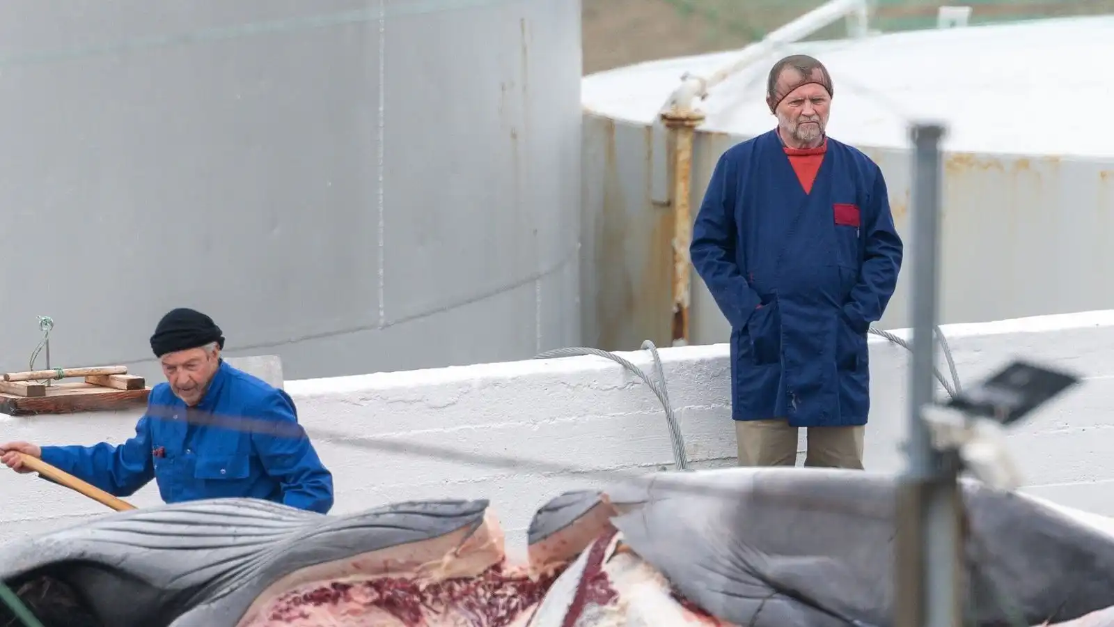 Myndir úr Hval­firði: Lang­reyðar dregnar á land - Vísir
