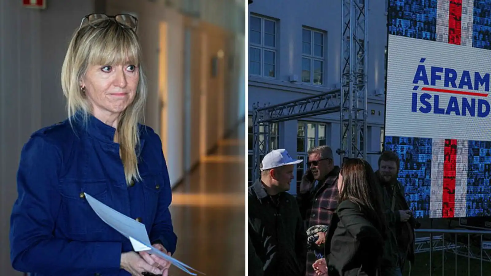 Næstum allar á­bendingarnar um Á­fram Ís­land - Vísir