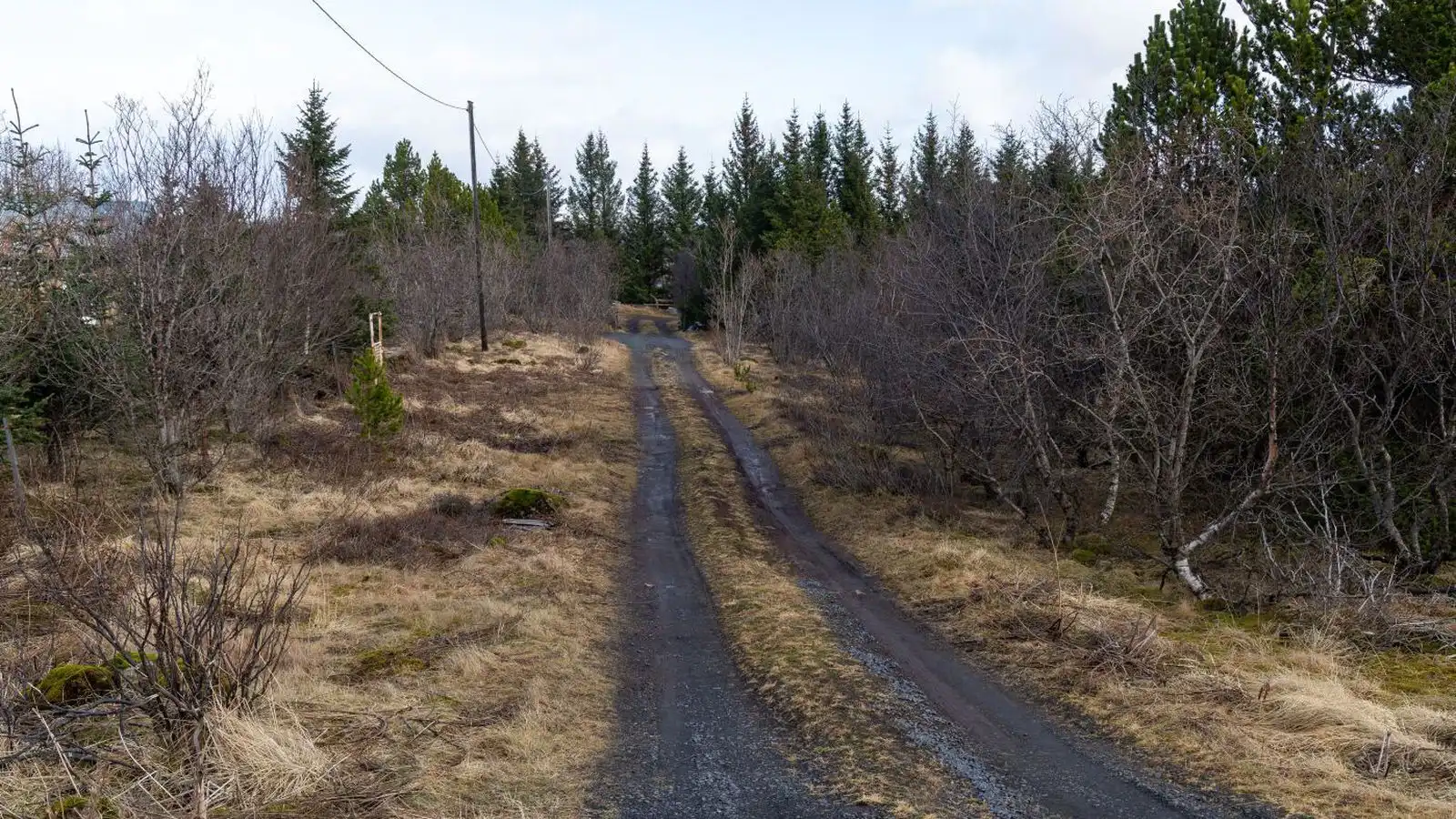 Nauðgaði konu sem hann hitti í körfu­bolta skömmu áður - Vísir