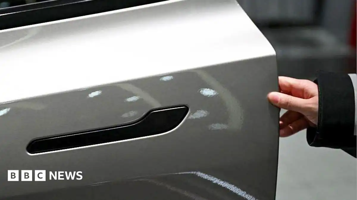 Nearly three million Teslas recalled in China over hidden door handles