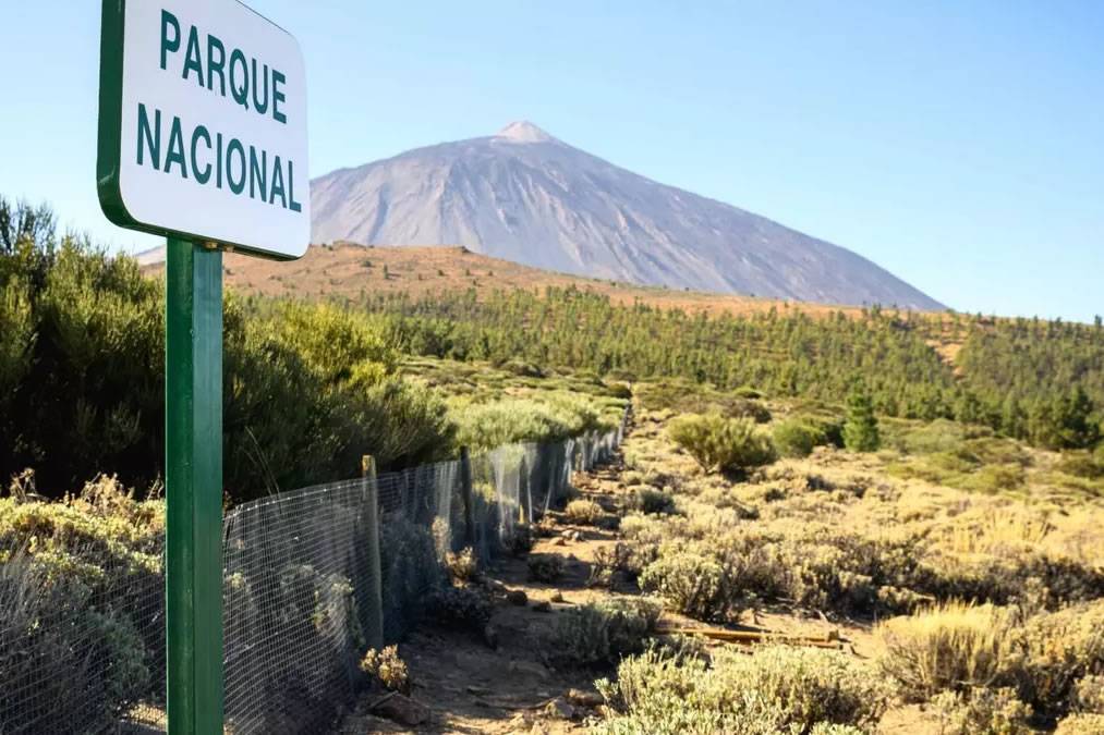 New episode of low-frequency seismic activity recorded near Mount Teide