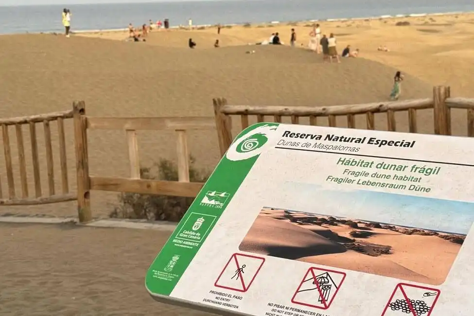New Protection Plan proposed for Dunes in Gran Canaria called “PORN Maspalomas”