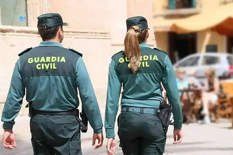 Nine arrested over violent street robberies in South Tenerife