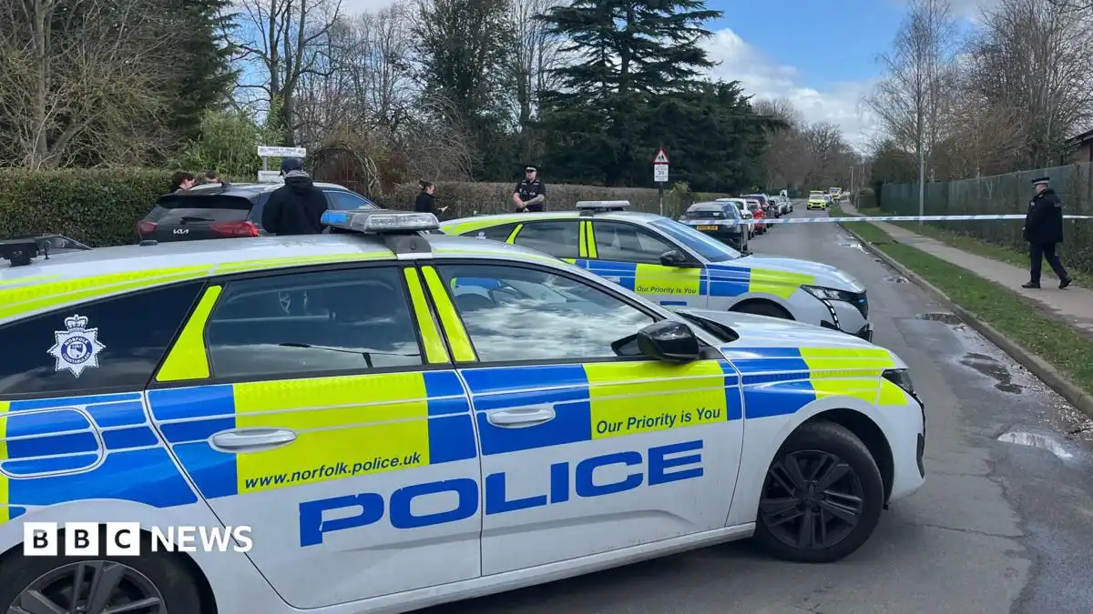 Norfolk school stabbing trial hears from defendant's mum
