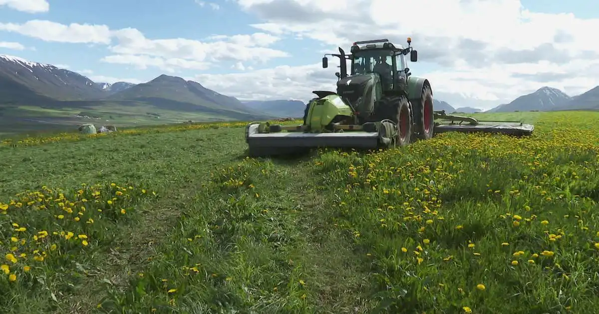 „Nú þurfum við að treysta á veðurguðina til að halda áfram“