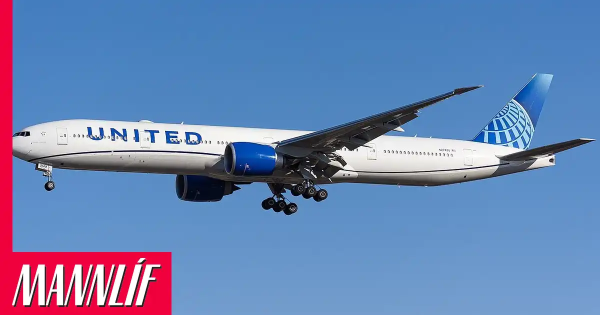 Óð kona olnbogaði flugstjóra í andlitið í miðju flugi