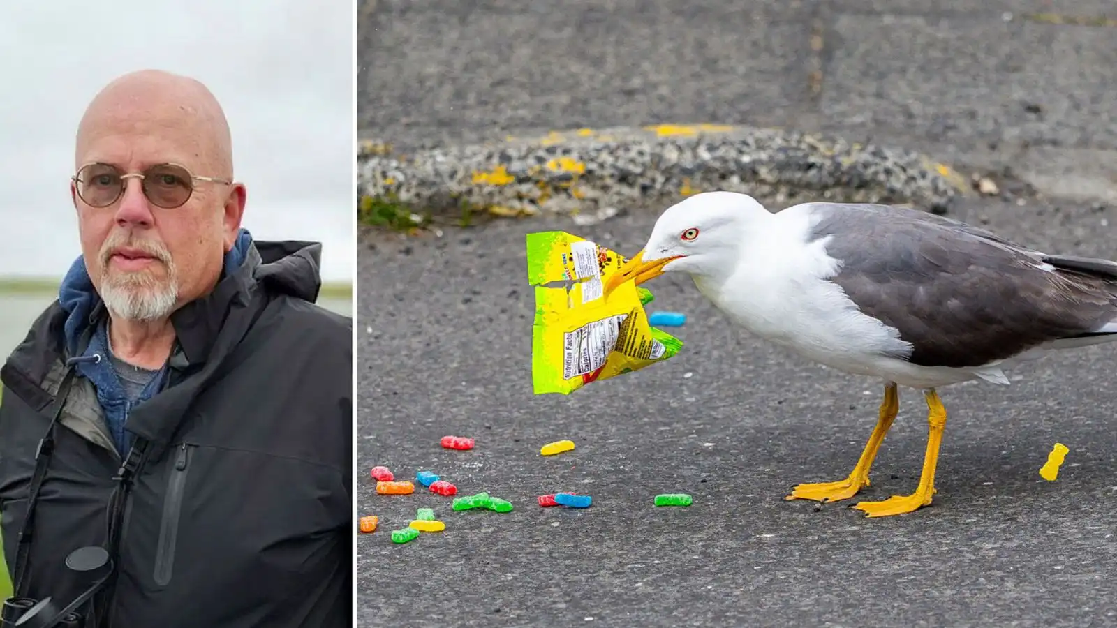 „Ó­harðnaðir ung­lingar sem kunna ekkert á lífið“ - Vísir