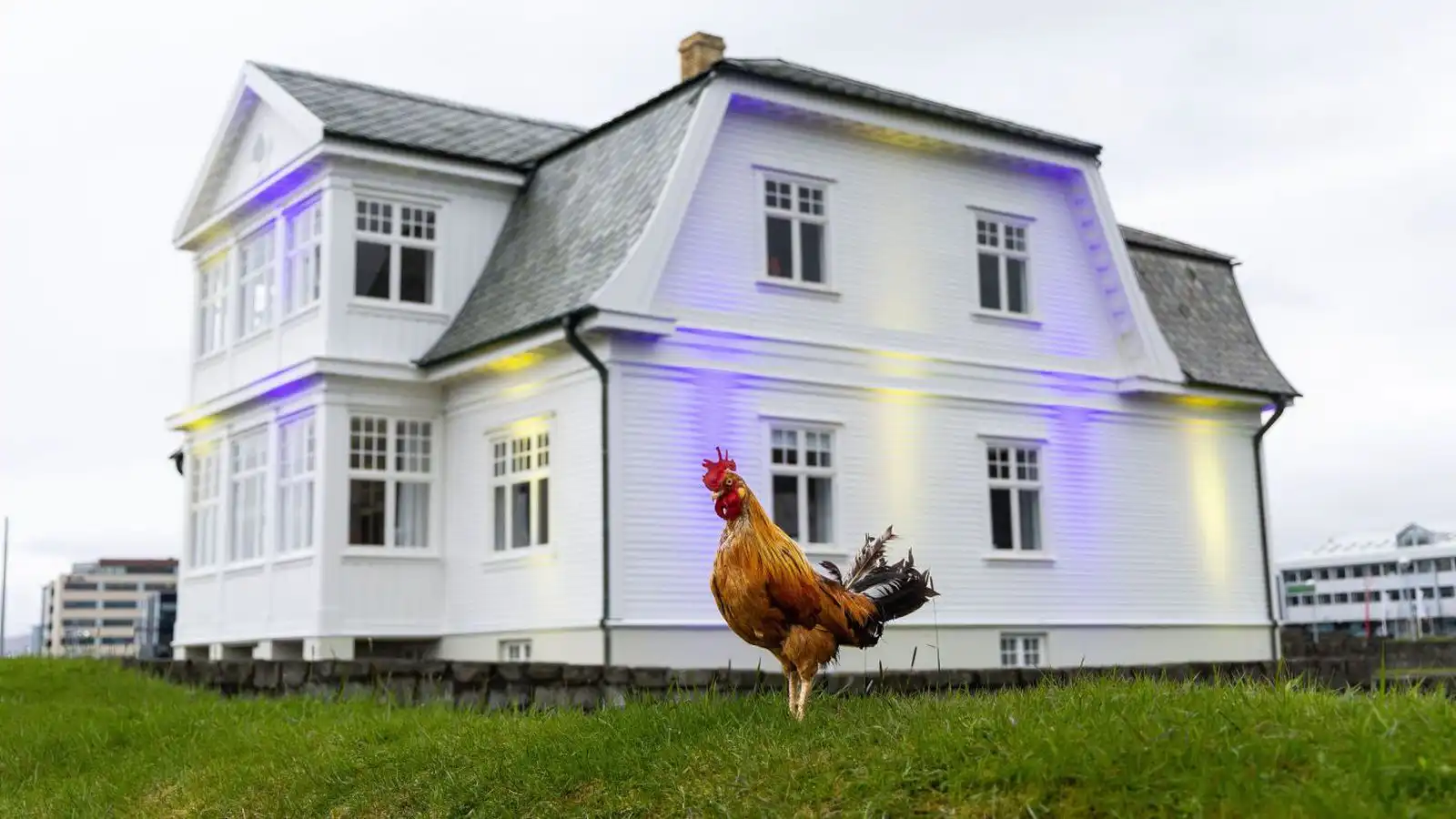 Opið hús í Höfða í dag - Vísir