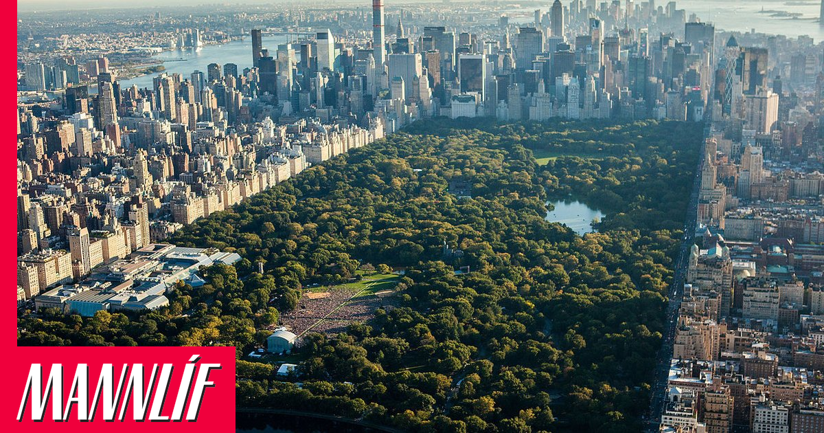 Opna bókabúð án bóka í New York