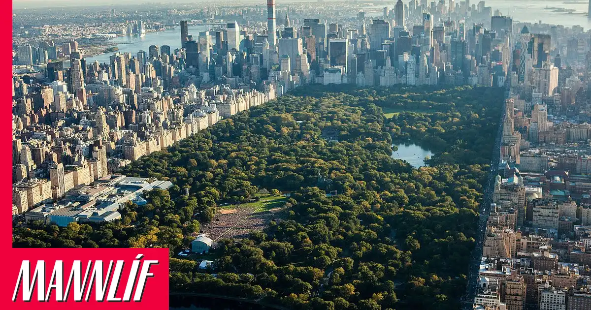 Opna bókabúð án bóka í New York