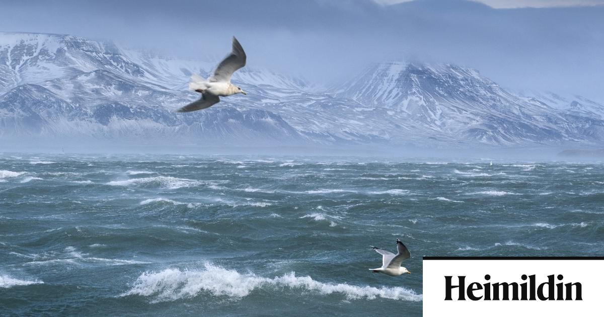 „Óþægilega stutt“ í hrun hafstraums og kólnun Íslands