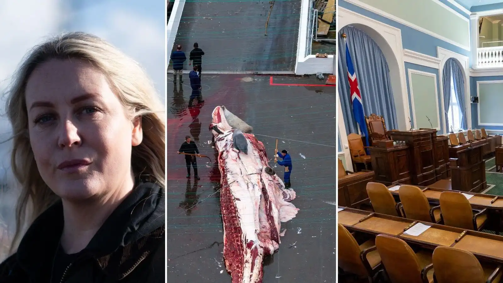 Óttast að um­ræðan muni dragast fram á sumar - Vísir