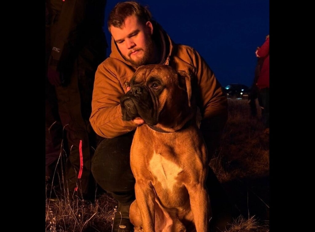 Óttast mjög um hund sinn eftir að hafa árangurslaust reynt að endurheimta hann úr pössun - „Ég veit ekkert hvort hann sé illa haldinn“ - DV