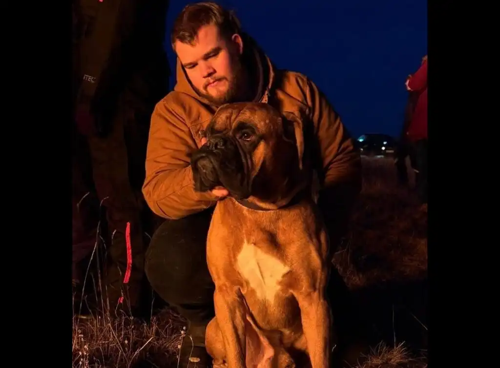 Óttast mjög um hund sinn eftir að hafa árangurslaust reynt að endurheimta hann úr pössun - „Ég veit ekkert hvort hann sé illa haldinn“ - DV