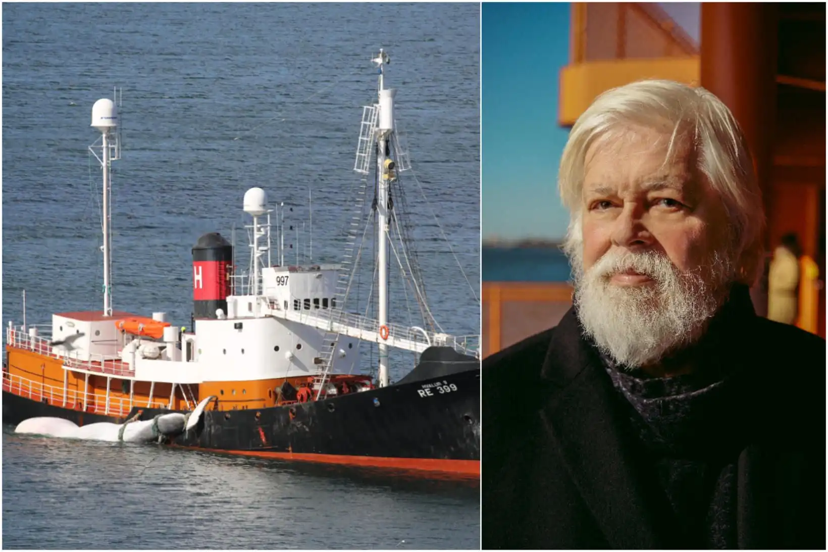 Paul Watson boðar uppgjör í sumar - MBL.IS