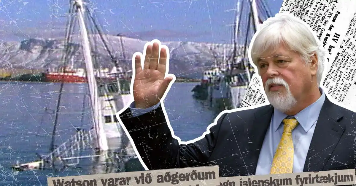 Paul Watson og „aðgerð 86“: Ætlar að ljúka því sem hófst árið 1986