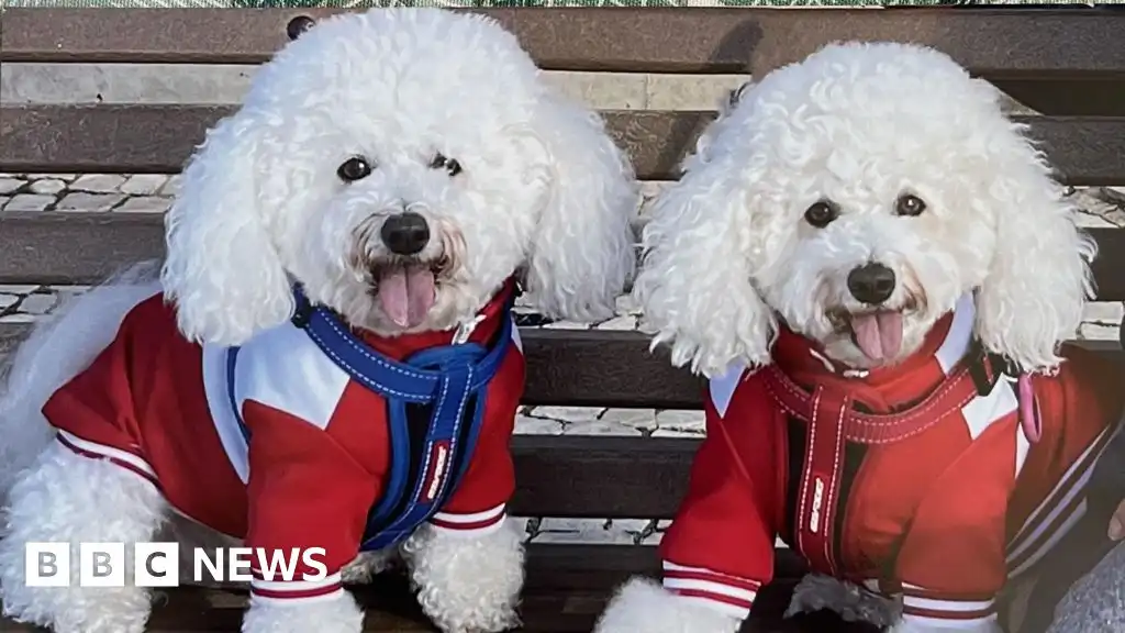 Pet owners hit with steep bills after EU passport rule change