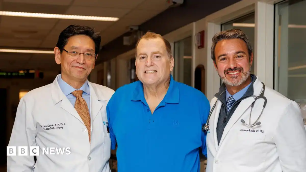 Pig kidney works in human body for 271 days - is this the future of organ transplants?