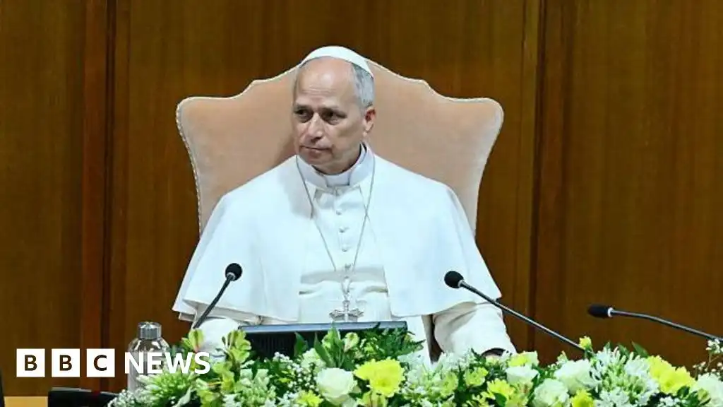 Pope Leo says AI must be 'disarmed' in first major teaching