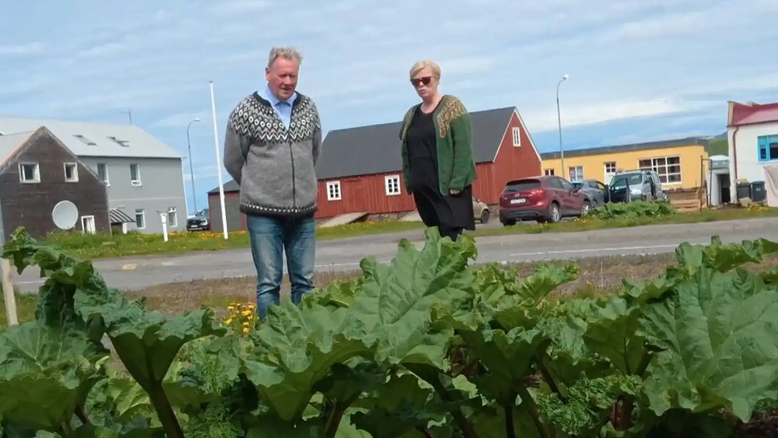 Rabarbari hafinn til vegs og virðingar á Blöndu­ósi - Vísir