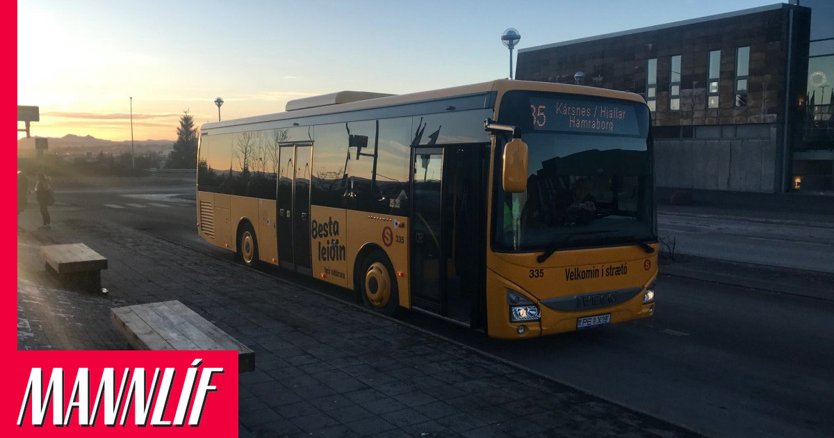 Róbert réðst á 13 ára gamlan dreng