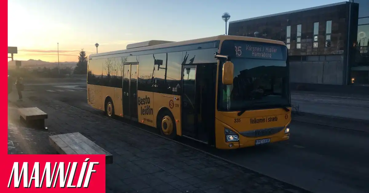 Róbert réðst á 13 ára gamlan dreng