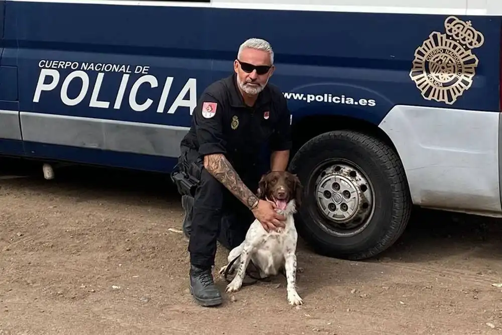 Rony the hero police dog honoured for finding missing people in the Canary Islands